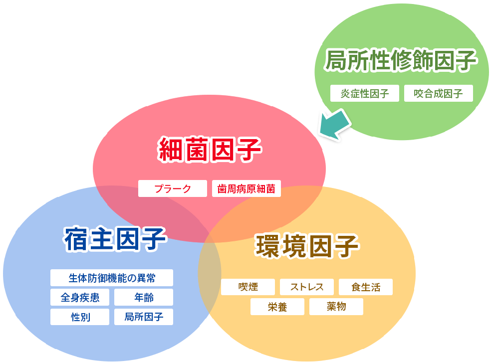 歯周病について