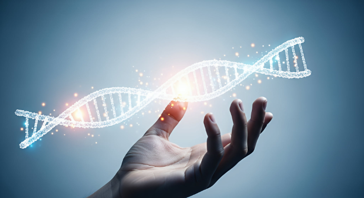 遺伝的要因で八重歯になるイメージ